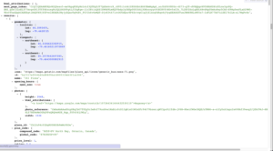 cors-works-browser-address-barcors-works-browser-address-bar